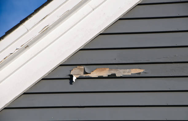  Cienegas Terrace, TX Junk Removal Pros